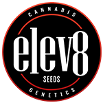 Elev8 Seeds