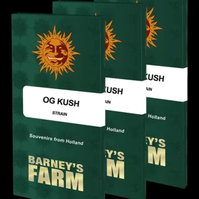 OG KUSH Feminized seeds