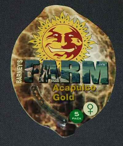 Acapulco Gold Feminised Seeds - 5