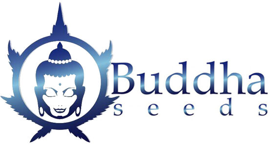 Buddha-Seeds-logo-Canapa-Mundi-02Buddha-Seeds-logo-Canapa-Mundi-02