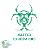 Auto Chem Dog