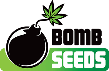 bomb seeds cannabis seeds