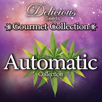 AUTOMATIC Gourmet Collection - Strains #1 (Delicious Seeds)