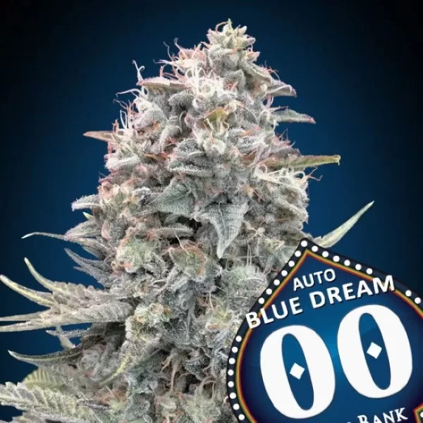 Blue Dream Auto Feminized Seeds