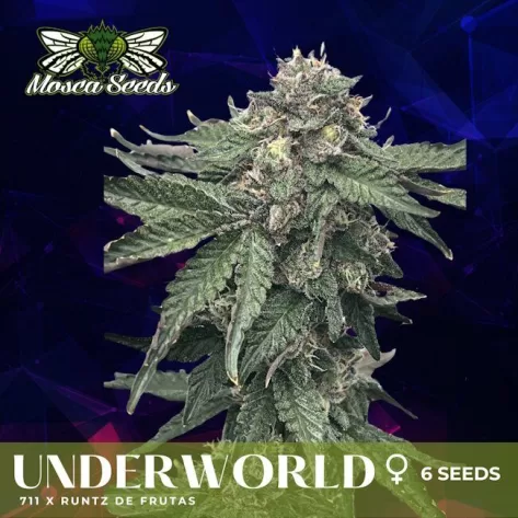 Underworld Feminized Cannabis Seeds