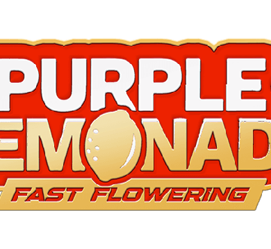 Purple Lemonade FAST Feminized Seeds