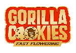 Gorilla Cookies FAST Feminzed Seeds