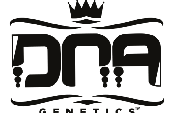 DNAN Genetics