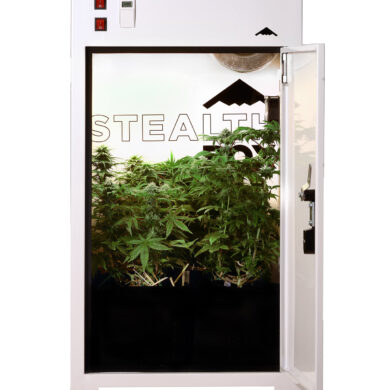 Grow Box