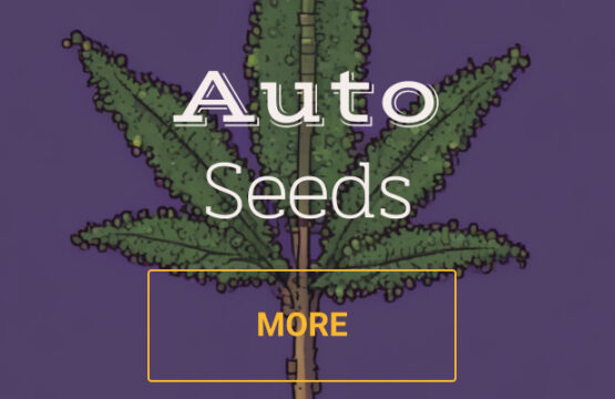 Auto Cannabis Seeds