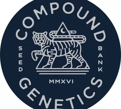 Compound Genetics is a respected cannabis seed company and is one of the most valued and desired seed producers by growers around the world.