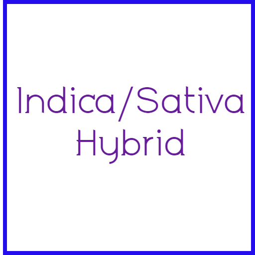 indica/Sativa Hybrid