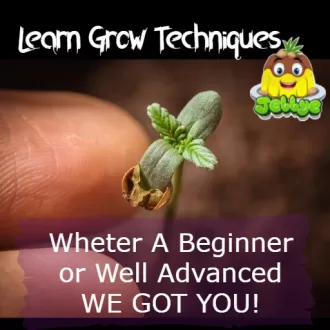 Learn Grow Techniques