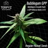 Bubblegum GPP Regular Seeds