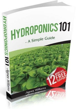 hydroponics-training